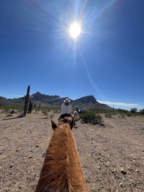 Riding through the Sonoran Desert at White Stallion Ranch.