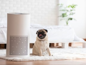 Air purifiers with HEPA filters can remove most pollutants, including wildfire smoke.