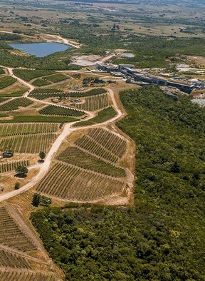 Bodega Garzón winery in Uruguay, a fascinating terroir where Albarino and Tannat grape varieties have become unlikely bedfellows. The winery has set a new level for Uruguayan and South American wines, which will feature at the Vancouver International Wine Festival.