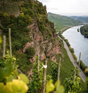 The Dr. Loosen vineyards in the Mosel region of Germany, which specializes in Riesling. The Dr. Loosen/Villa Wolf booth will be pouring a series of top-flight German Riesling and Pinot Noir at the Vancouver International Wine Festival.