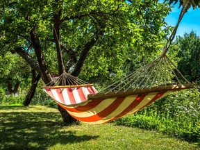 Hammocks might be good for more than a nap on hot summer nights.