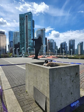 A Canada goose nests near the Digital Orca sculpture outside the Vancouver Convention Center on Mother's Day weekend.  (Vancouver Convention Center Staff)