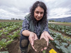 Renee Prasad is an associate professor of agriculture at University of Fraser Valley checking for soil contamination.