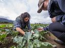 Renee Prasad, Associate Professor of Agriculture at the University of the Fraser Valley, and Rachel Barth checking for soil contamination.