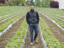 Amir Maan at Maan Farm in Abbotsford. The family farm has pivoted to a greenhouse and the first crop is almost ready.