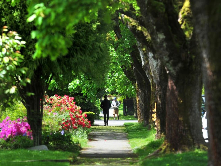  Example of leafy community streets to illustrate the effects of a tree canopy on residential neighbourhoods in Vancouver, BC., on May 18, 2022.