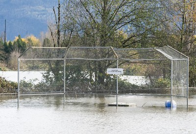 Port Coquitlam  Port Coquitlam's F-Words: Flu, Fire, Flood and Financial  Fears