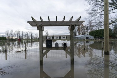BEFORE: Mailboxes sit in flood water in Abbotsford, Nov., 22, 2021.