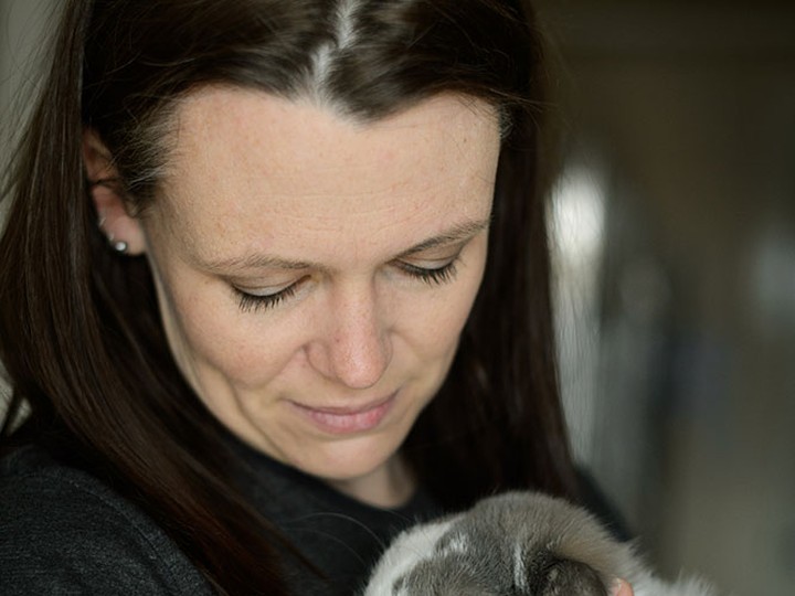  The B.C. SPCA is offering small pets like bunnies, gerbils and mice for adoption in May on a pay-what-you-can basis.