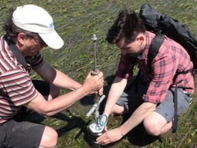 hometopics Estuaries’ vast potential for climate mitigation May 6, 2022 Share: FacebookTwitterLinkedInEmail University of Victoria Professor and Ocean Networks Canada Chief Scientist Kim Juniper (left) and graduate Tristan Douglas extracting a sediment core from an eelgrass meadow for blue carbon assessment in the Cowichan Estuary on Vancouver Island