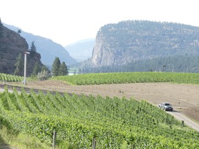 In 2021, the smoke from several nearby fires lingered for weeks over Okanagan Falls, driving Blue Mountain to cancel its entire vintage.