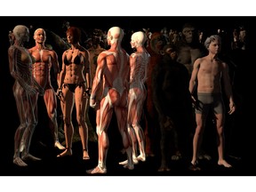 Ho Tzu Nyen No Man II's installation of multiple avatars, 2017, is part of an international group exhibition at The Polygon Gallery.