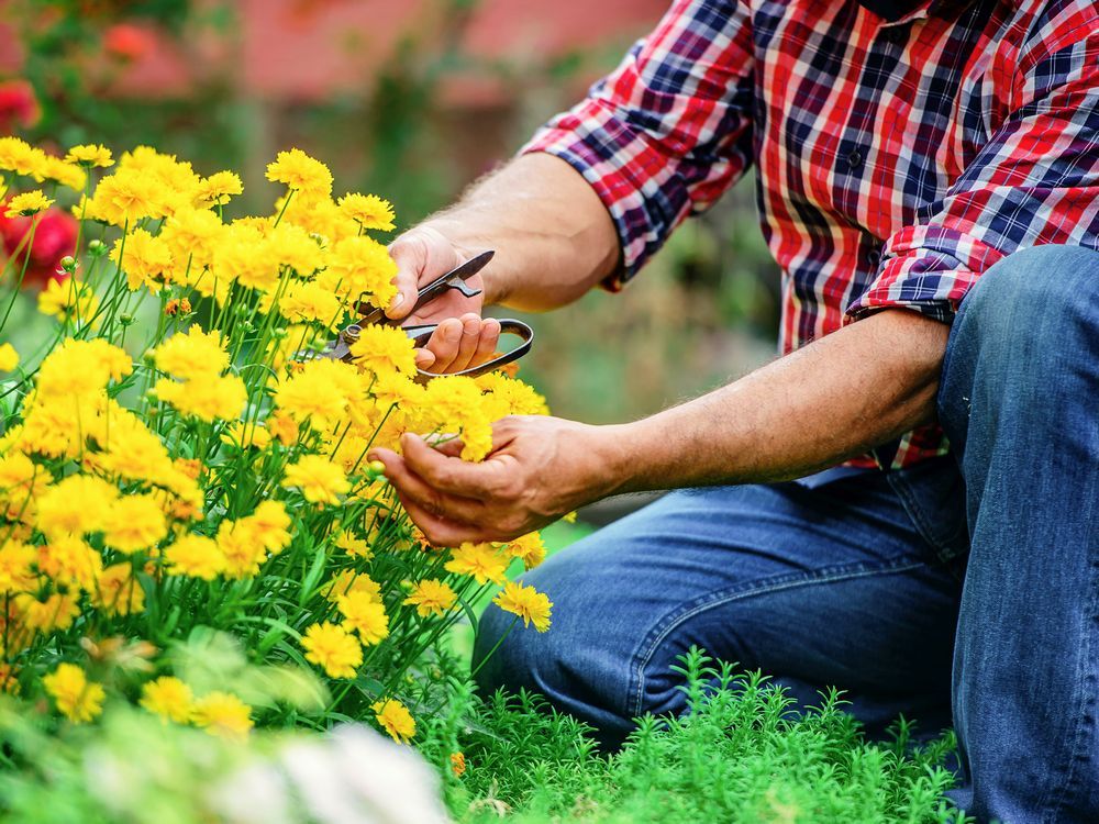 2022 is the Year of the Garden in Canada. But what does that mean?