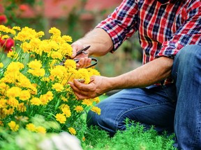 It's time to get out into the garden.