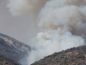A column of smoke is seen during a wildfire near Artesa de Segre, Spain, June 18, 2022. REUTERS/Albert Gea