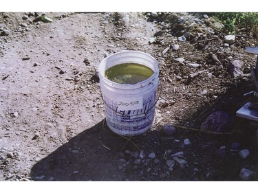 Twenty-litre bucket containing liquid, seized from the Picktons' second Port Coquitlam property on Burns Road. Another bucket which also read "Clout" was found in a workshop freezer, holding the partial remains of Andrea Joesbury. Photos introduced as evidence in the trial of Robert Pickton.