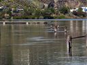 South Thompson River levels on June 21. 