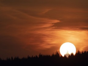 An enhanced coloured sun and sky due to the wildfires south of the border silhouettes trees on a mountain top in North Vancouver, B.C., Friday, October 2, 2020.&ampnbsp;Rainy conditions that raised flood risks in north, central and southeastern British Columbia are being replaced by sunshine as a brief heat wave, the first in the province this year, offers a respite until early next week.