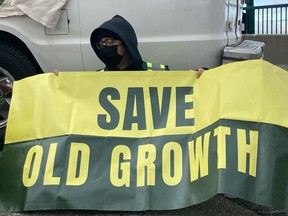 Protesters with Save Old Growth blocked the Lions Gate Bridge on June 22, 2022.