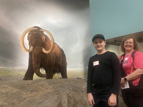 Fred Jennings and Geneva Standbridge look at the woolly mammoth in the Royal BC Museum on Thursday, a day after Premier John Horgan announced the province is scrapping the $789-million replacement project. Credit: Katie DeRosa/PNG