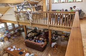 Students from West Point Grey Academy work on projects at the Cedar Coast Field Station on Vargas Island near Tofino, B.C. The station offers researchers, students and others the opportunity to live off-grid.