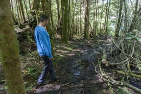 Darryl McKenzie, executive director of the Cedar Coast Field Station on Vargas Island near Tofino, B.C. The station offers researchers, students and others the opportunity to live off-grid.