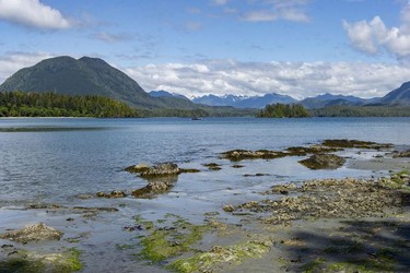 Beach on Vargas Island, near Tofino, B.C., where the Cedar Coast Field Station is located. The station offers researchers, students and others the opportunity to live off-grid.