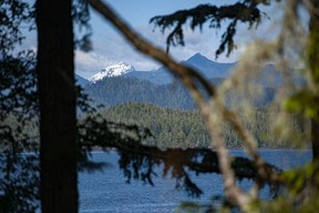 The view from the Cedar Coast Field Station on Vargas Island near Tofino, B.C., which offers researchers, students and others the opportunity to live off-grid.