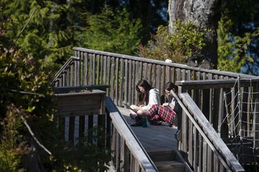 Students from West Point Grey Academy work on a project at the Cedar Coast Field Station on Vargas Island near Tofino, B.C. The station offers researchers, students and others the opportunity to live off-grid.