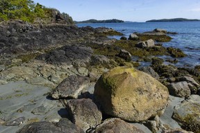 Tidal pools on a beach near the Cedar Coast Field Station on Vargas Island near Tofino, B.C. The station offers researchers, students and others the opportunity to live off-grid.