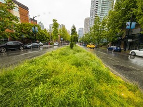 Vancouver's urban meadows pilot project.