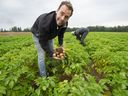 Tristin Bouwman (left) and Tyler Heppell in a Campbell Heights potato field in Surrey.  The farmers want the land added to the Farm Land Reserve to increase BC's food security as some of the first available field vegetables in the province are grown.