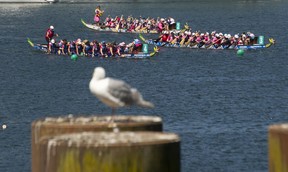 Menschen nehmen am Drachenbootrennen in False Creek in Vancouver, BC, am 26. Juni 2022 teil.