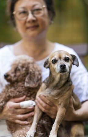 Cali (rechts) und Rika mit Joyce Gee in Vancouver am 27. Juni 2022.