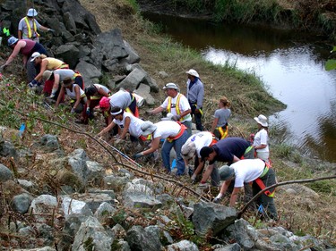 Searchers, including police officers and students of anthropology and archeology, conduct a systematic hand search in 2003, looking for evidence in the Jane Doe case in a swampy area near Mission. The unidentified missing woman's partial skull was found at this site in 1995, and her heel and rib bones were found in 2002 on the farm of convicted serial killer Robert (Willie) Pickton.