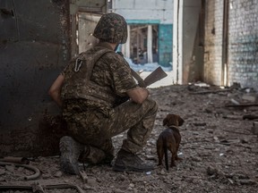 A Ukrainian soldier with a dog in the industrial area of the city of Sievierodonetsk, as Russia's attack on Ukraine continues on June 20, 2022.