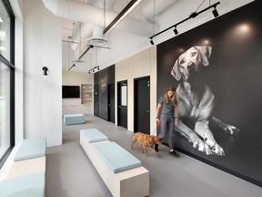 The Residence Entrance: Design fits particular house for pets The Residence Entrance: Design fits particular house for pets