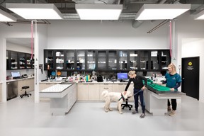 Sea to Sky Veterinary Clinic in Squamish B.C.