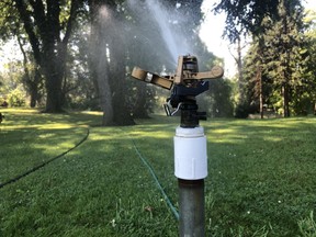 Watering lawns is only permitted on select mornings across Metro Vancouver starting May 1.