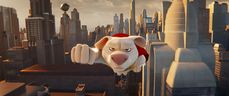 DWAYNE JOHNSON as Krypto in Warner Bros. Pictures' animated action adventure 