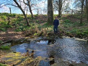 At the source of the Thames.