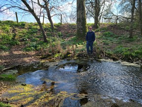 At the source of the River Thames.