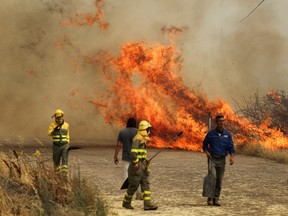 Firefighters from the Brigadas de Refuerzo en Incendios Forestales tackle a fire in a wheat field in Tabara, Zamora, on the second heatwave of the year, in Spain, on July 18, 2022.