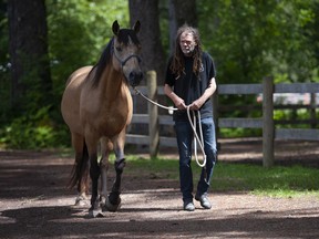 Un entrenador pasea a un caballo rescatado que fue adoptado recientemente.