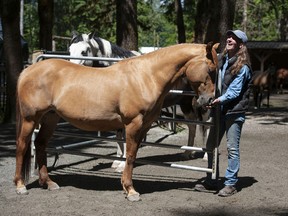 Kris Latham and volunteers help rescue, rehabilitate and find new homes for horses at Second Chance Cheekye Ranch in Squamish.