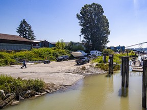 This low, overgrown dike, left, in Maple Ridge would be no match for a major flood. Photo: Francis Georgian.