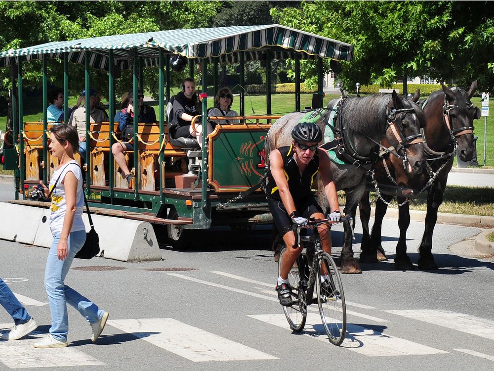 Stanley park hot sale horse carriage