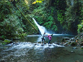 Goldstream Falls can be reached on a side route from the Gold Mine Trail.