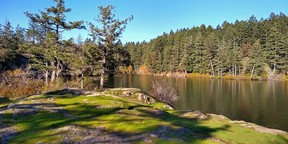 Thetis Lake Regional Park offer hiking on 45 kms of trails in a Victoria suburb.