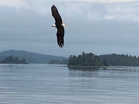 Wildlife viewing was spectacular with Prince Rupert Adventures Tours.